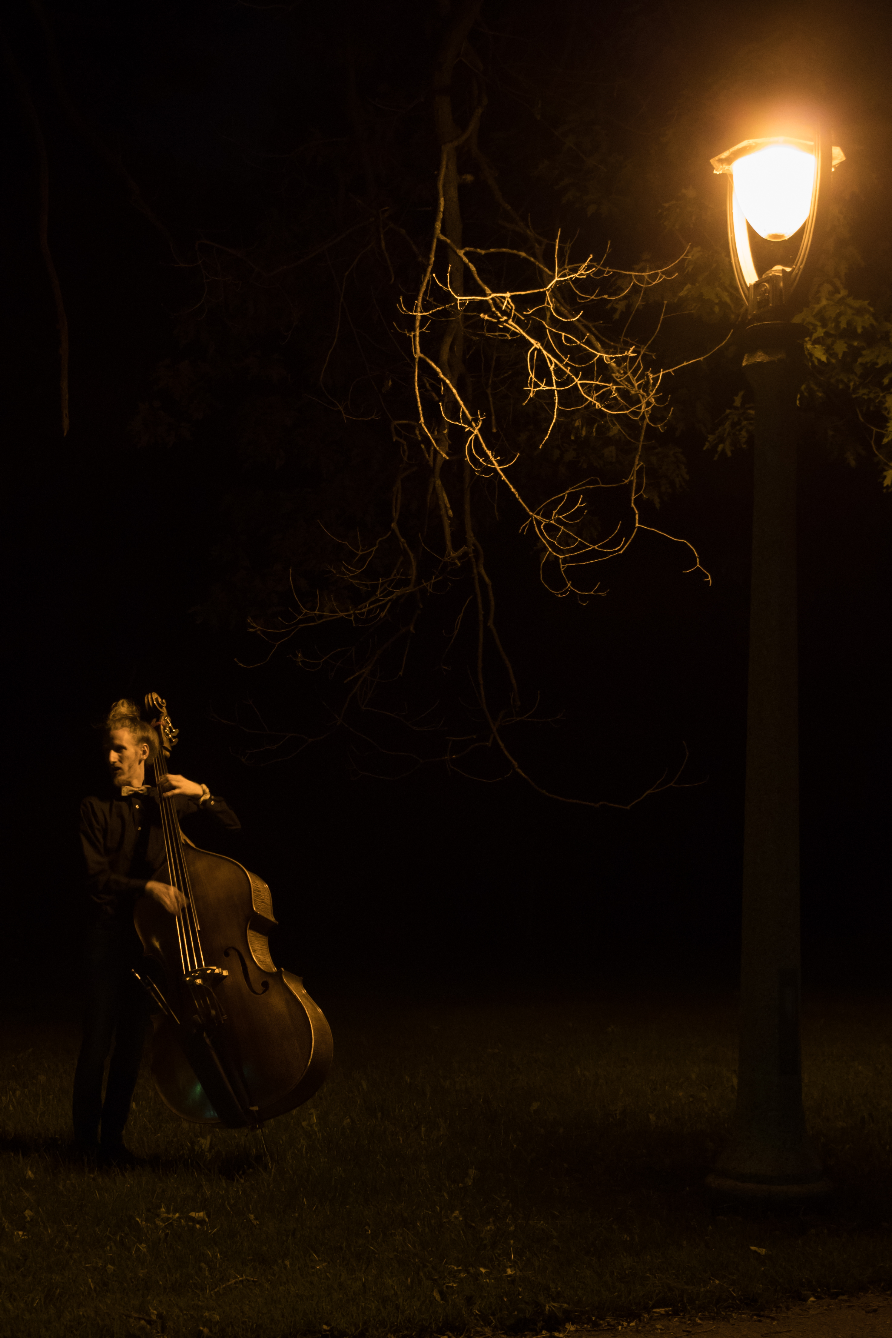 Another photo of Sam taken outdoors at night, posing with his bass beneath a street 
								lamp and a branch.